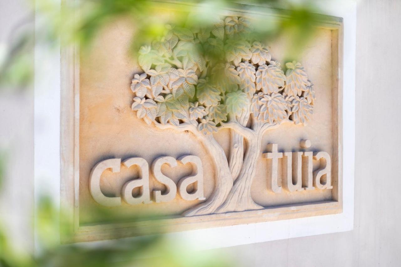 Casa Tuia Resort Carvoeiro  Kültér fotó